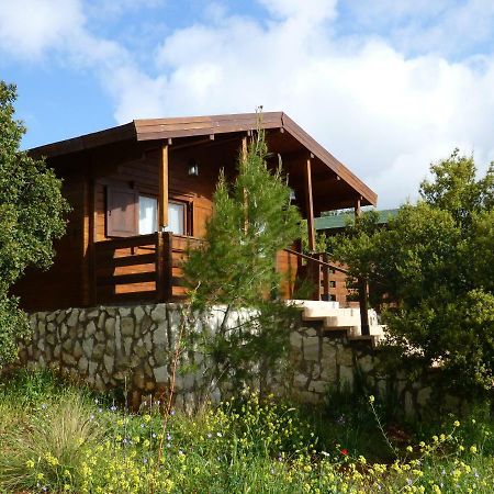 Mountain Breeze Lodge & Resort Al Salt Exteriör bild